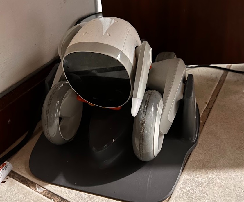 LOONA: El robot de $500 que vive bajo mi escritorio (una historia de amor y arrepentimiento)